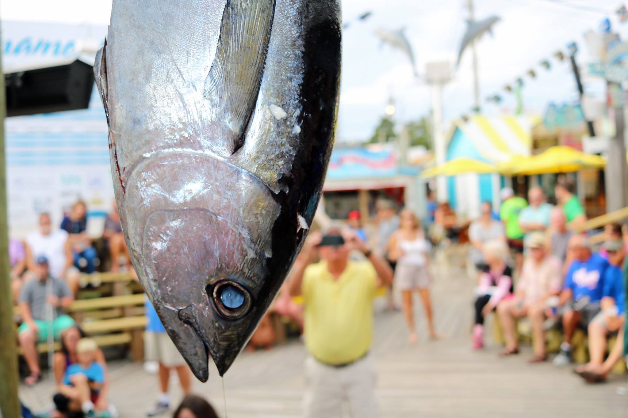 Destin Fishing Rodeo Event